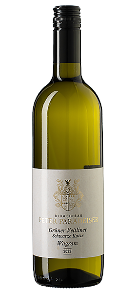 Grüner Veltliner Schwarze Katze Wagram DAC 2022 Grüner Veltliner Schwarze Katze Wagram DAC 2022